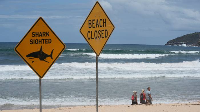 Fj&auml;rde hajattacken i Australien p&aring; 48 timmar