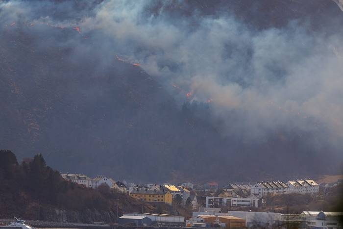 Skogsbrand rasar i Norge &ndash; hundra hush&aring;ll evakueras