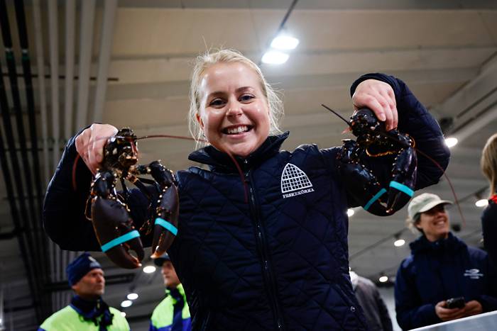 Saftiga prislappen på hummerpremiären