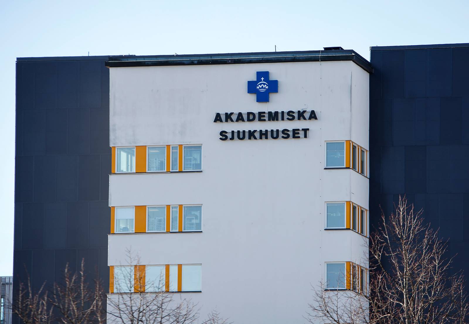 Uppladdad bild