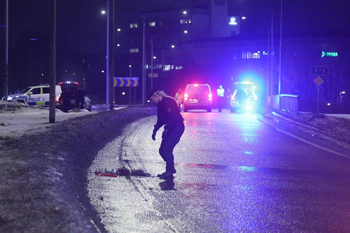 Sylvassa fyndet p&aring; v&auml;gen