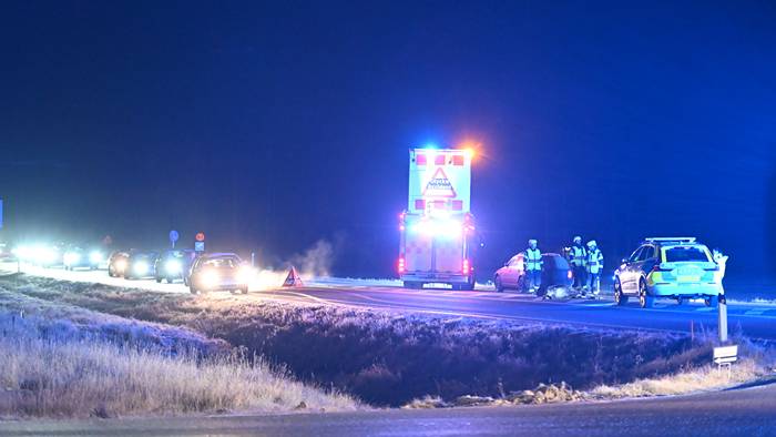 Polis avlivade skadad &auml;lg med tj&auml;nstevapen