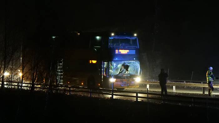 Lösa hästar på E22