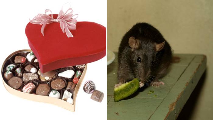 Chokladtjuv slog till &ndash; tv&aring; n&auml;tter i rad