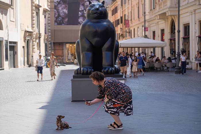 Hund&auml;gare tvingas tv&auml;tta bort kiss &ndash; eller b&ouml;ta